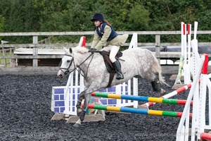 Class 4 - Fences 2'3 to 2'6